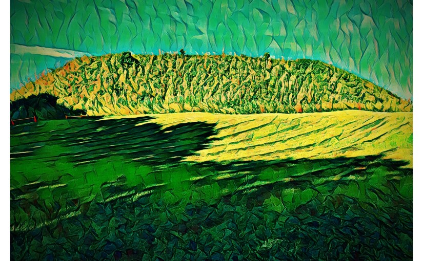 “Jess Harper Returns to&nbsp;Macon”